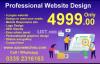 Professional Website Design