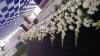 Wedding decoration online fresh flowers service karachi wedding  room