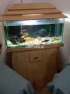 Beautiful Aquarium for sale with all accessories.