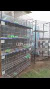 Professional Breeding cages 10 portion and 20 portions heavy gauge