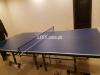 Table tennis table MDF(Wholesale Price)