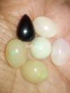 Ethopoeia k white and black fire opal sang dodhia 100% asli all stones