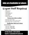 Staff Required for office Management
