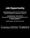 Staff Required For Office Management