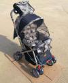 Baby Stroller kid's
