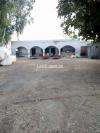 Farm Available For ( Rent ) . Dairy r Poultry Farm