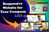 eCommerce Website Design or Professional Blog Business Site