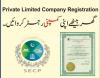 Company Registration,Income Tax of N.R.P/NTN,GST, Sales Tax Return,Aop