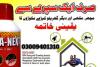 Termite and Pest control Services