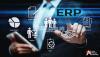 Factors to Consider When Choosing an ERP Software