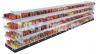 Supermarket Display & Storage Racks/ Shelving Solutions