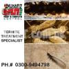Deemak Control Pest Control Termite Control Fumigation Spray