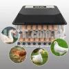 Sale Sale Sale 70 Eggs incubator for All kind of Birds,fully Automatic