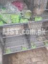 Portion Cage For Sale