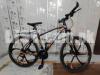 Mountain Bike (12 Springs Imported Bicycle)
