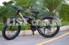 Electric Fat Mountain Bicycle, Cycle