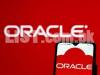 oracle Programer required