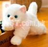 Cat Stuff Toy Cute Soft Toy For Kids - Stuffed Animals - Stuffed Cat