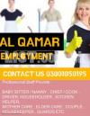 Employment services All domestic staff Available & office services