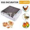 Fully Automatic Eggs Incubator