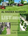 Al haider nursery HomTheme Parks, Industrial Landscape,Farmhouses,