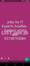 jobs availble for IT Expert in peshawar
