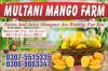 Multani fresh Mango available all vareites