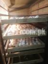 eggs hatching service 90% result guarentee with solar system backup
