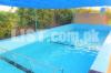 16 kanals farm house at Bedian Road for rent for pool party and picnic