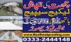 Roof Heat Proofing Roof Insulation Roofs Cool & Waterproofing Service