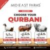 Qurbani 2022 - Cow Share - Goat by MEF Lahore