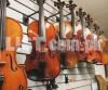 Violins with Great sound,Best Violins store In Twin city