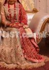 Brand New Bridle Dress / Suit / Lehenga For Sale In Discounted Price