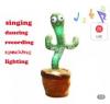 plant cactus voice repeting recording dancing pant