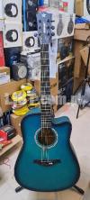 Starway Acoustic Guitar (Trus Rode)