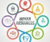human resourse management course in dina