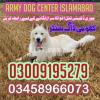 Army Dog Center Islamabad