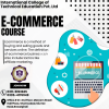 Professional E-Commerce Diploma Course in Lakki Marwat