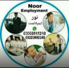 Domestic staff nanny babysitter patient care couple aya maid cook chef