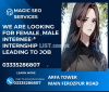 Free Internship Training of SEO for Matric / FA Females