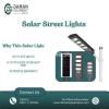 60 W Solar Light